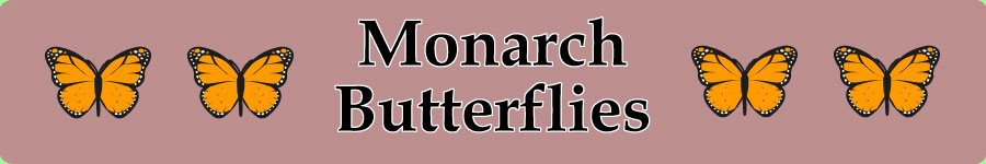 Monarch Butterflies page photo